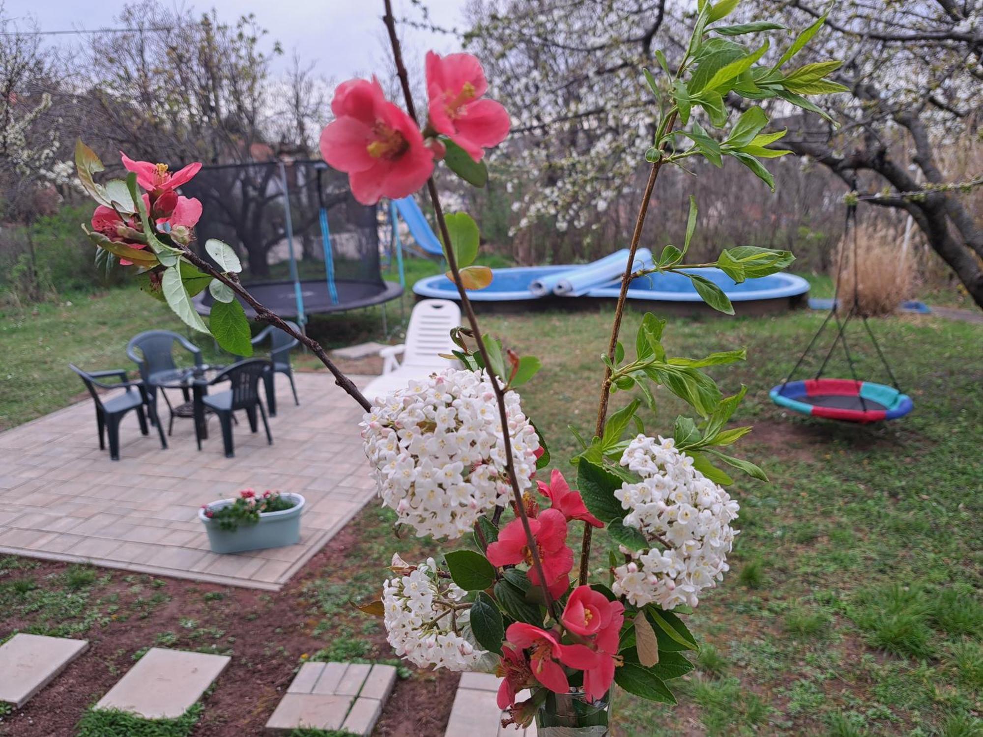 Malibu Apartment Balaton North Balatonalmádi Εξωτερικό φωτογραφία